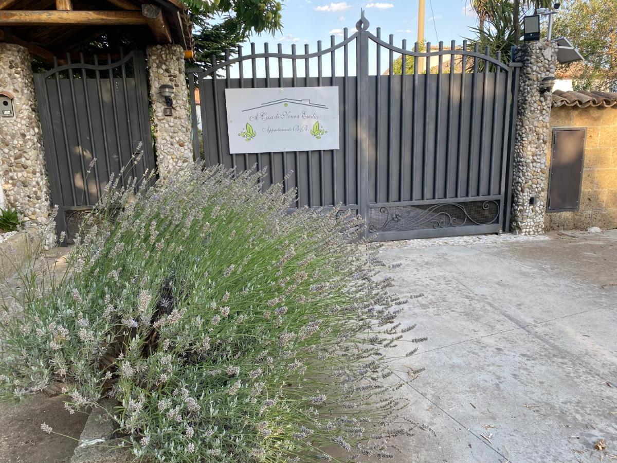 カンパーニャ A Casa Di Nonna Emilia Bed & Breakfast エクステリア 写真